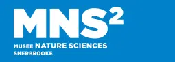 MNS2