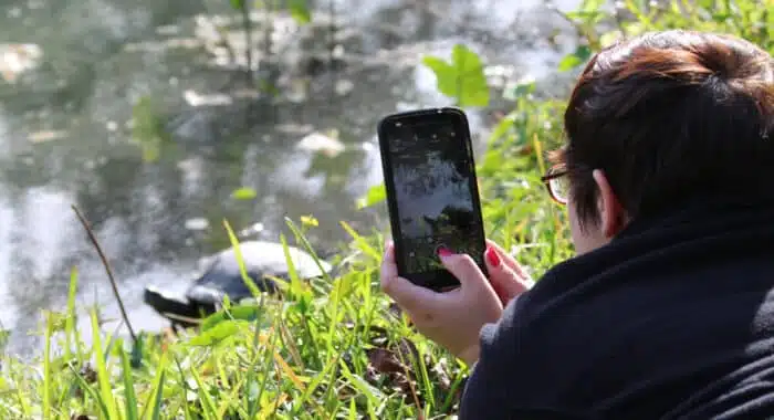 BioBlitz