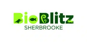 Bioblitz